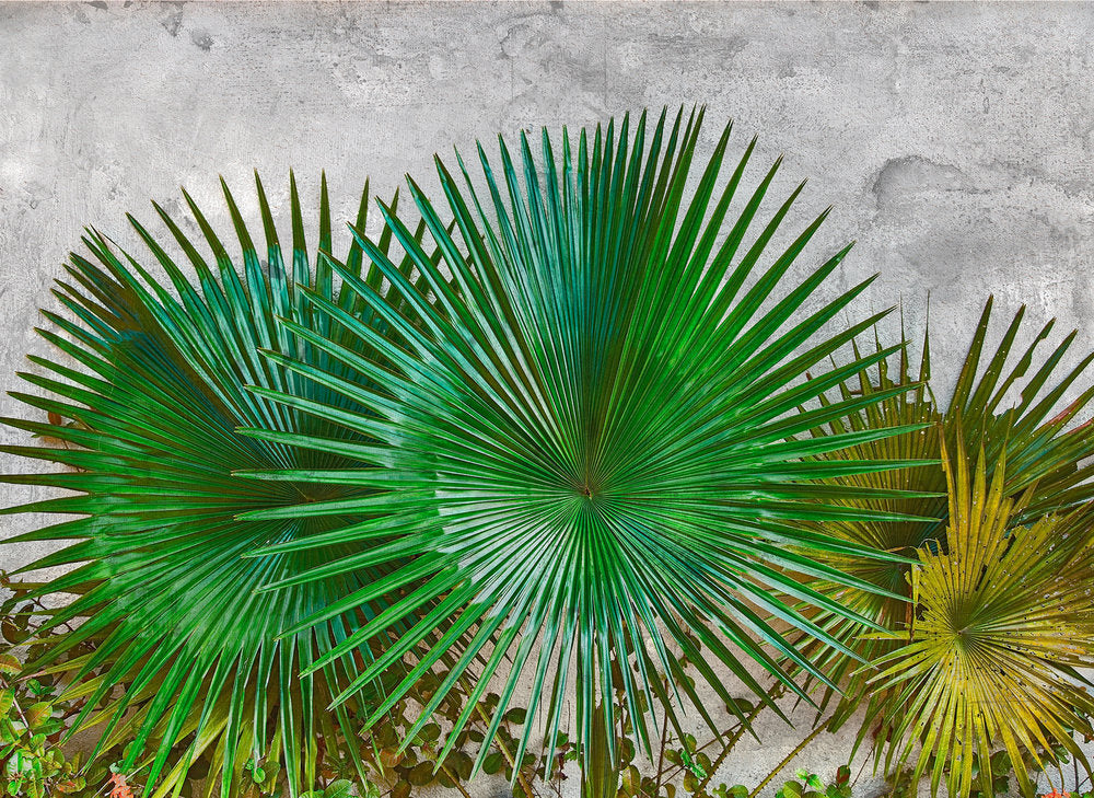 Agave Leaves Design Walls - Natural Fiber Wall Decor for Home & Office - Perfect for Boho, Farmhouse & Modern Interiors