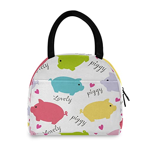 Colorful Piggy