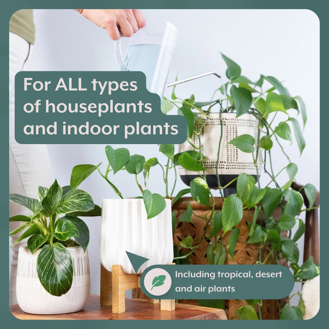Best Houseplant Fertilizer Tablets - Fast-Acting Indoor Plant Food for Lush Growth | Perfect for Potted Plants, Succulents & Flowers