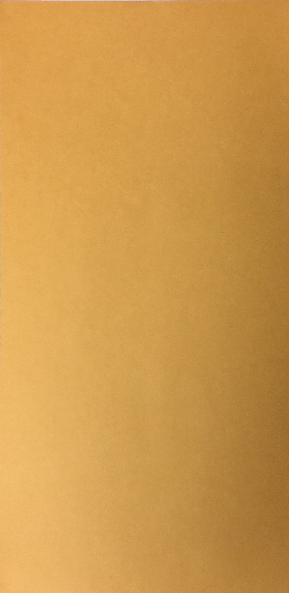 500 Moist & Seal License Plate Envelopes - Self-Adhesive Waterproof Mailing Sleeves for Vehicle Registration, Tax Stickers & DMV Documents - Perfect for Car Dealerships, Government Offices & Mail Centers