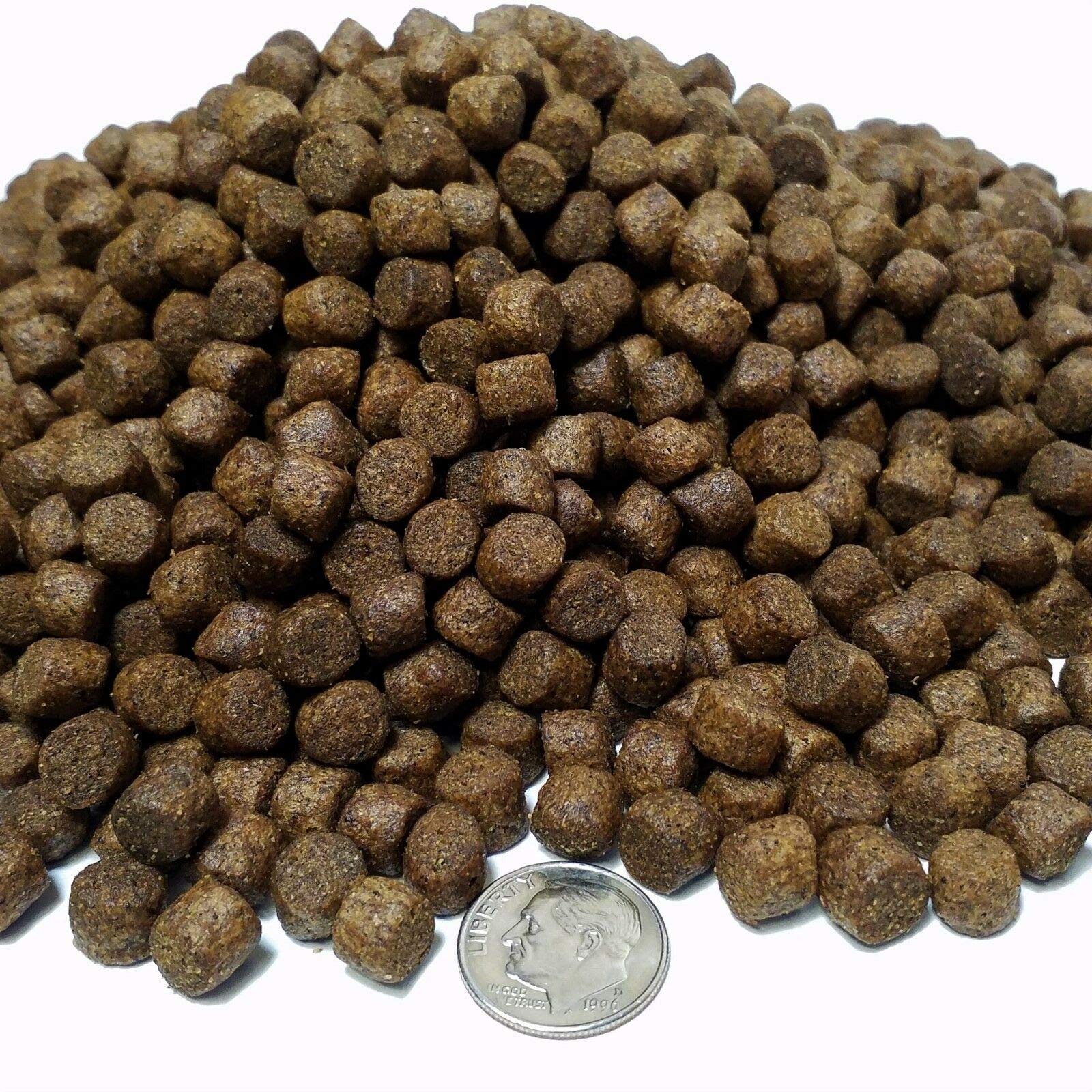 Premium 7.5mm Floating Cichlid Pellets - High Protein Fish Food for African Cichlids, Tropical Fish & Pond Fish - Ideal for Daily Feeding & Growth Enhancement