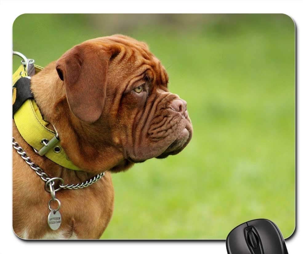Premium Gaming Mouse Pad with Bordeaux Mastiff Dog Design - Non-Slip Rubber Base, Smooth Surface for Precision Control - Perfect for PC, Laptop, Office & Esports Gaming