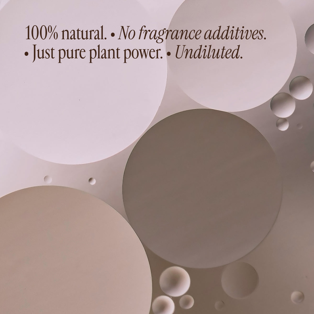 Bloom Bliss Centering Essential Oil Diffuser Blend - Relaxing Aromatherapy for Stress Relief & Meditation at Home