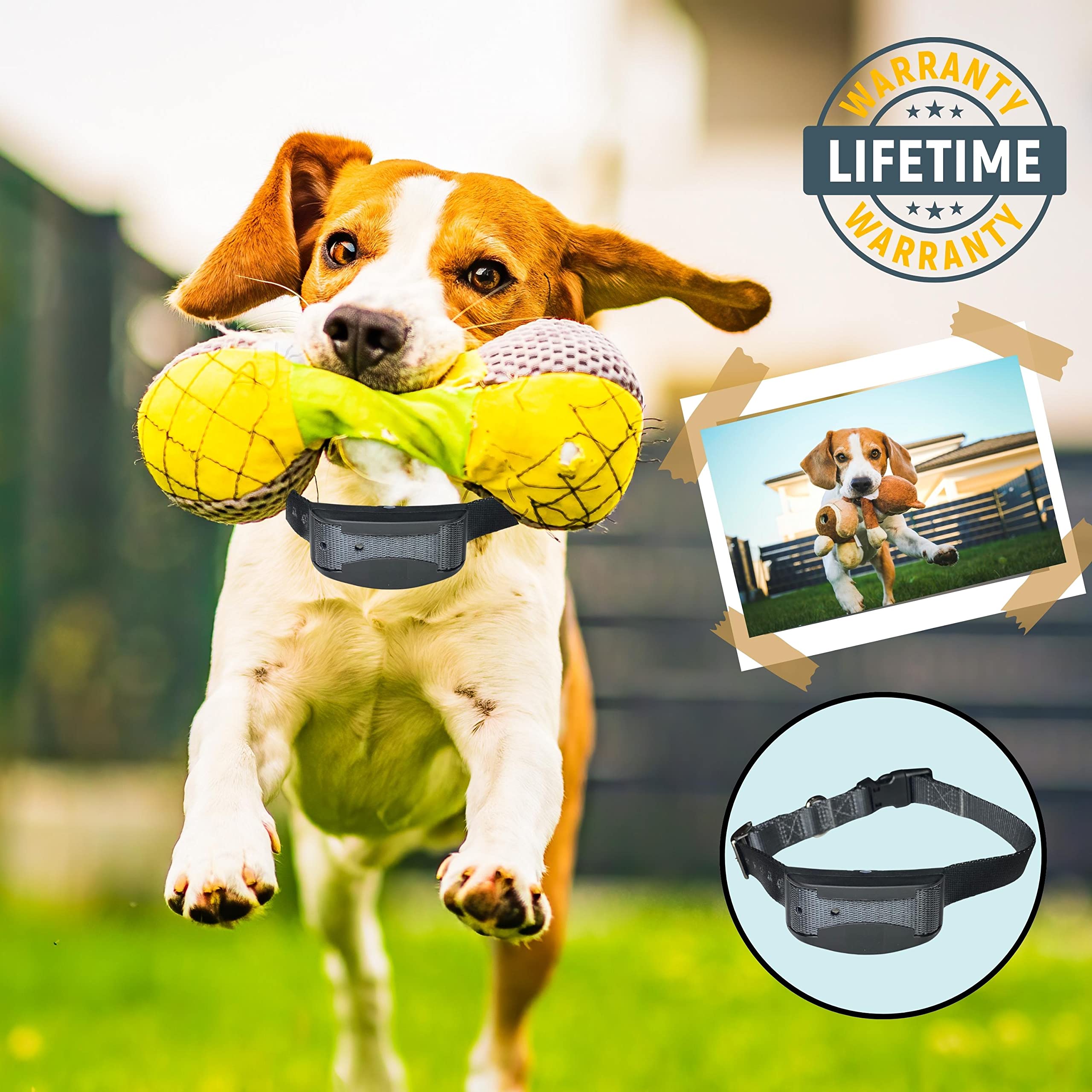 Replacement Strap for Shock Collar & Invisible Fence Collar - 3/4