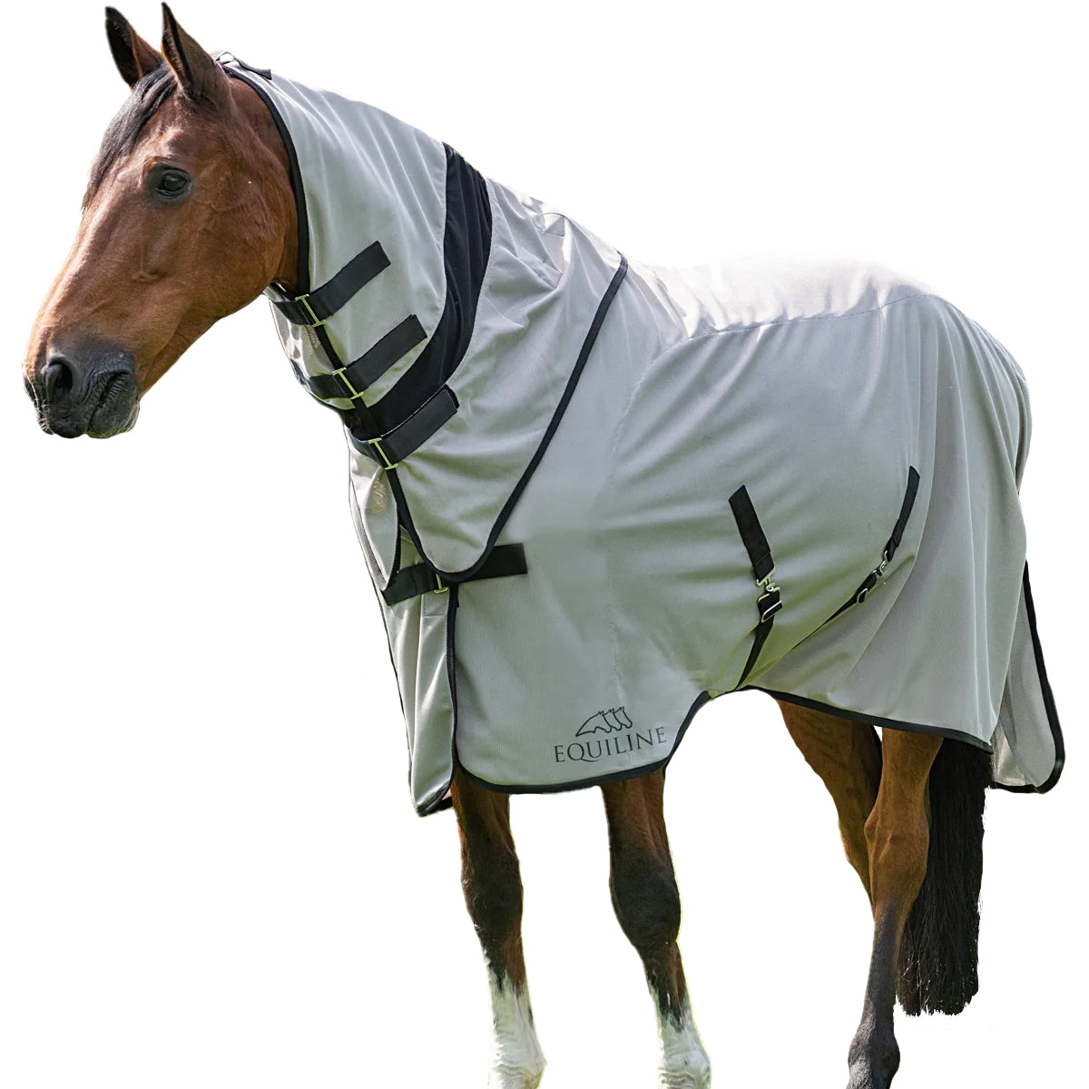 Equiline Lemonfly Fly Sheet with Detachable Neck Cover - Lightweight Horse Fly Protection for Summer Riding & Pasture Use
