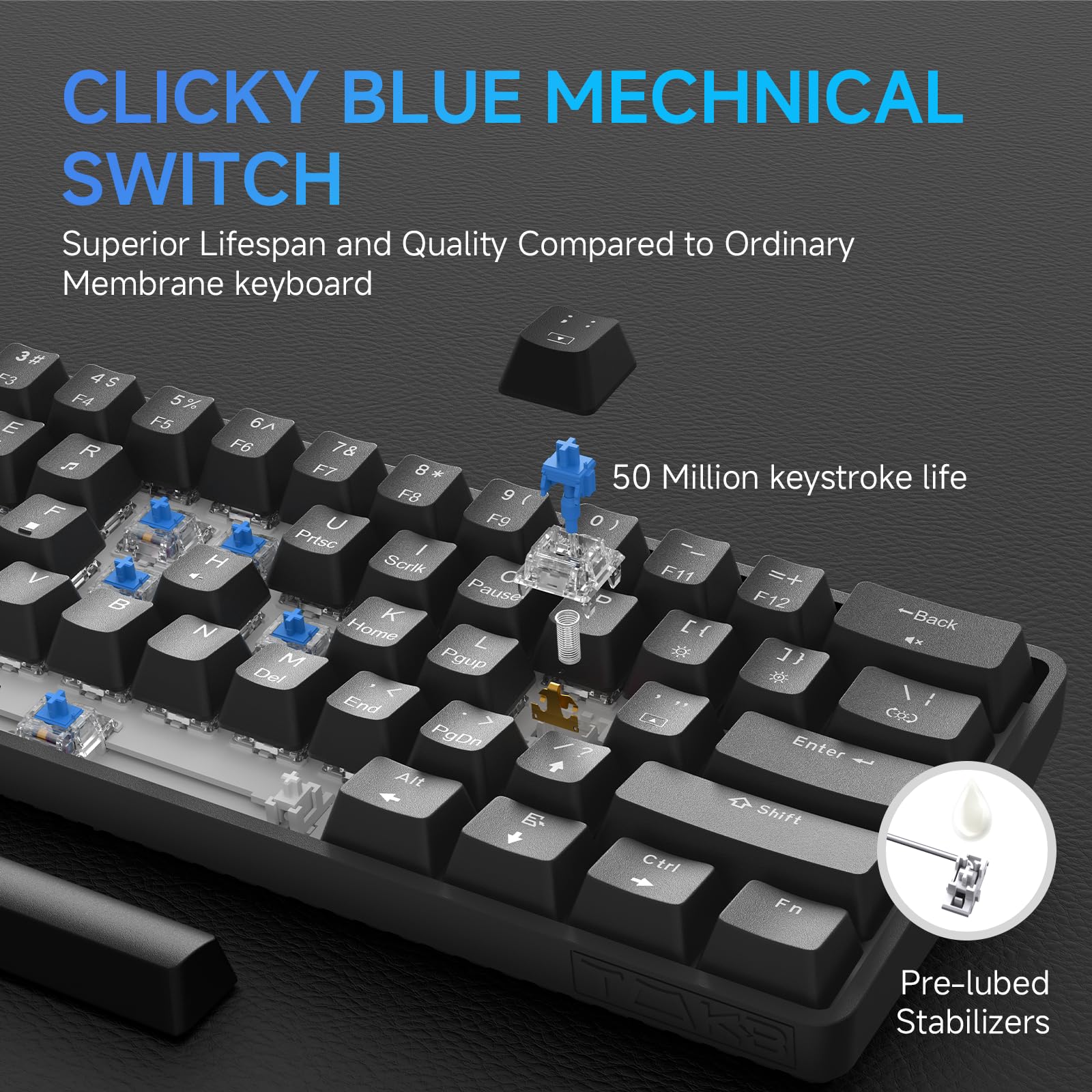 TMKB T61SE 60% Compact Mechanical Gaming Keyboard with Blue Clicky Switches, RGB Backlit, Double-Shot PBT Keycaps, N-Key Rollover, Detachable USB-C Cable - Wired Ergonomic Keyboard for PC, Mac, Windows Laptop Gamers & Programmers (Black) | Perfect for Esports, Office Work & Typing Enthusiasts
