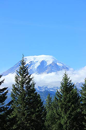 20x30 Inch Laminated Mountain Poster - Vibrant Cascade & Mt Rainier Washington Hiking Scene - Perfect for Home Decor, Office Wall Art & Outdoor Enthusiast Gifts