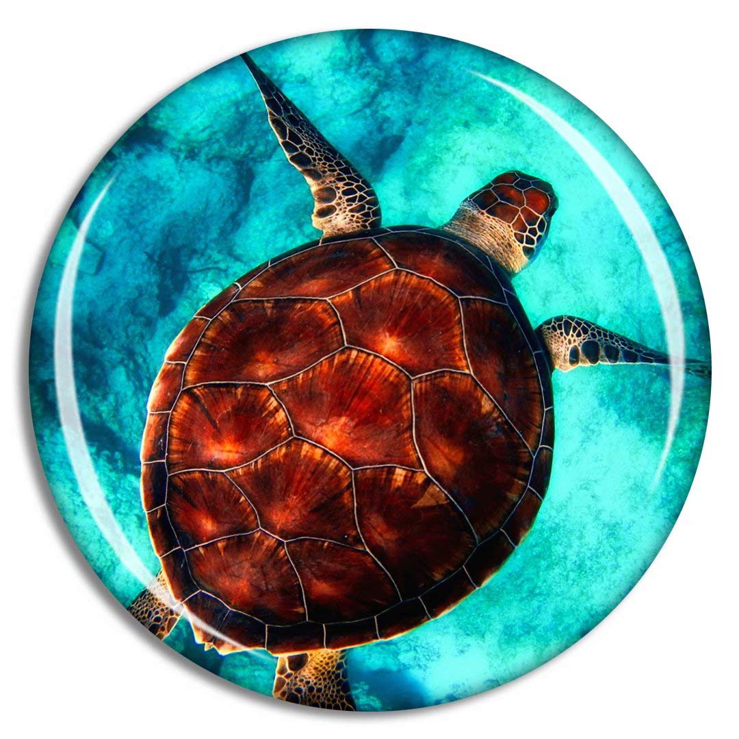 Cute Sea Turtle Diving Fridge Magnet - Ocean Animal Souvenir, Whiteboard & Office Decor, Home Kitchen Accessory - Perfect for Gifts, Collections & Refrigerator Organization