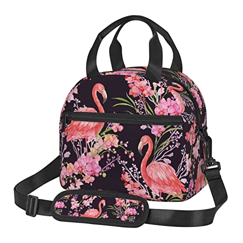 Flamingos