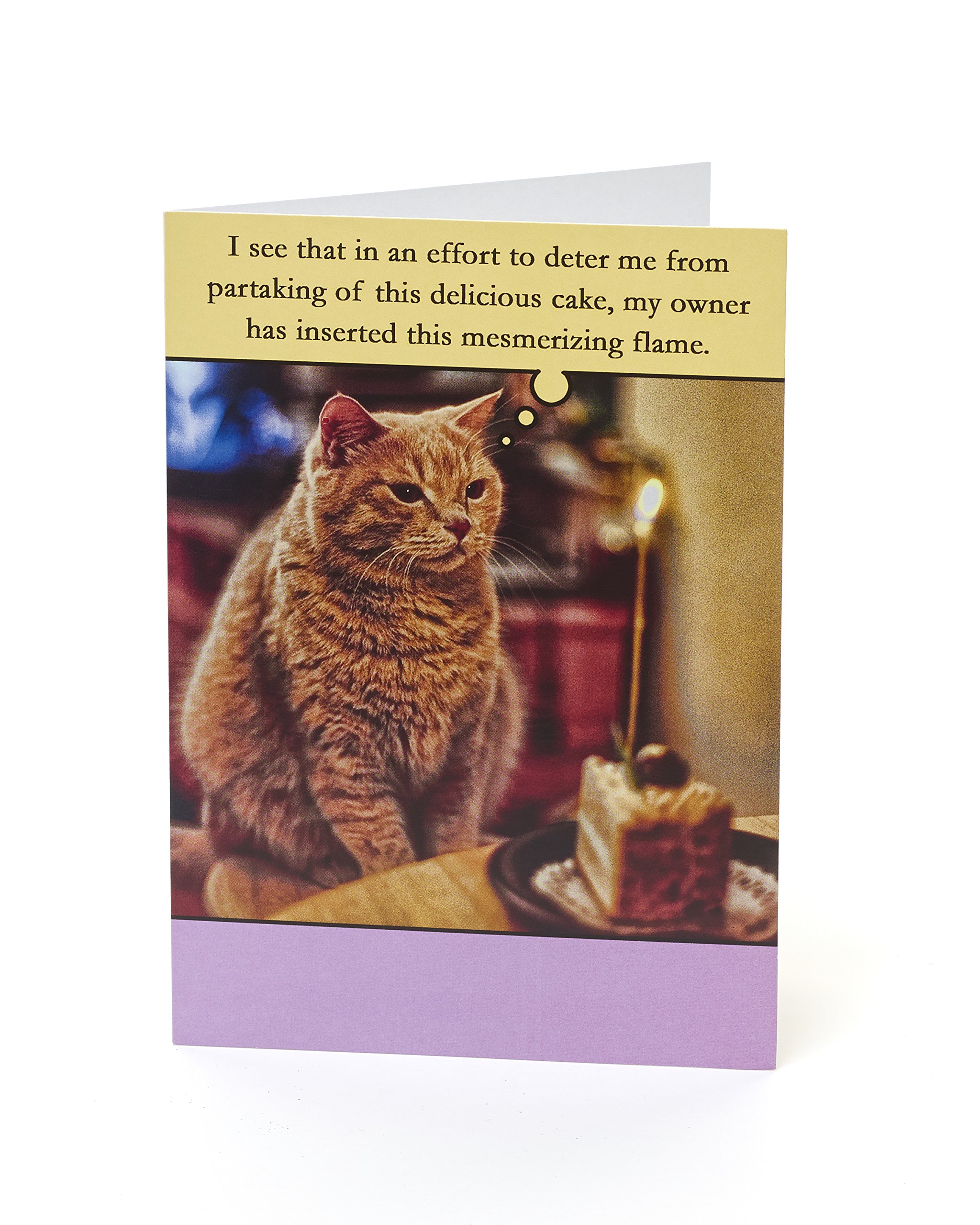 Funny Cat Birthday Cake Greeting Card - Perfect for Cat Lovers, Birthday Wishes & Humorous Celebrations