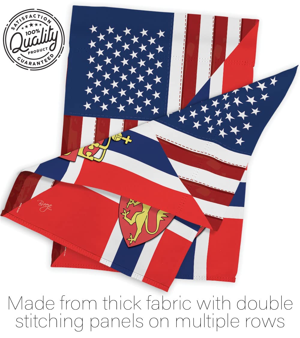 Norway-US Friendship House Flag Set 28x40