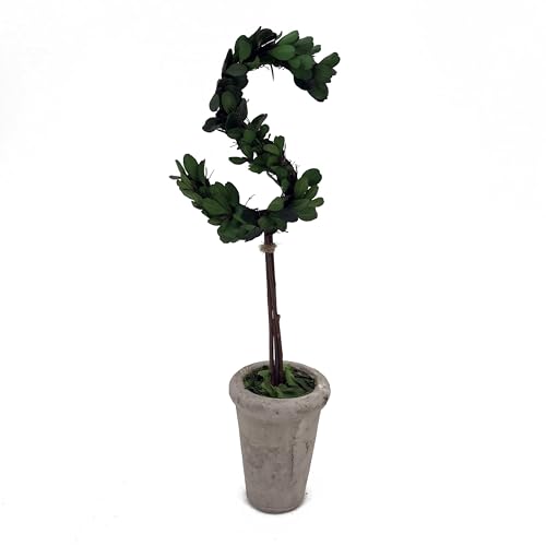 Forest Green S
