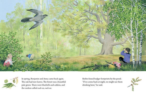 Gerda Muller: A Year Around the Great Oak - Children's Nature Storybook for Seasons Learning & Family Reading Time