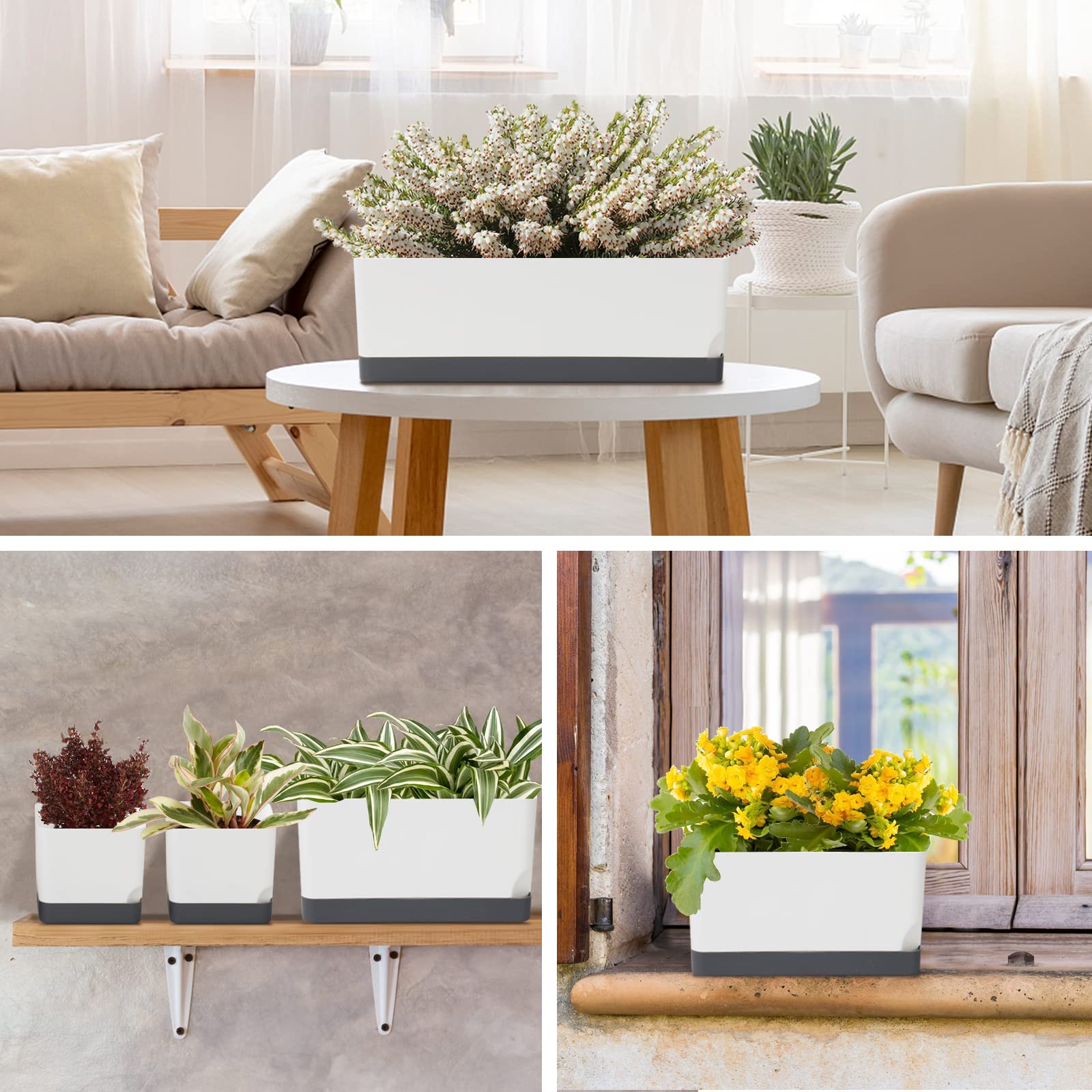 7 Pack Self Watering Plant Pots for Indoor Plants - 4, 8 & 17 Inch Plastic Window Box Planters with Drainage & Saucer - Perfect for Herbs, Flowers & Windowsill Gardening