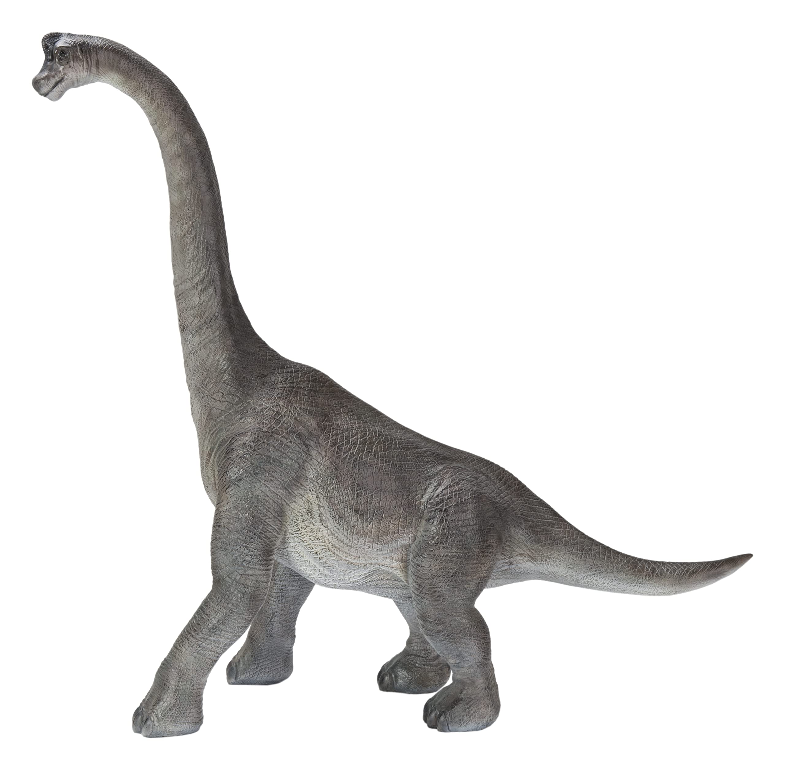 Hi-Line Gift Dinosaur Brachiosaurus Toy - Realistic Dinosaur Figure for Kids, Collectors & Educational Play | Perfect for Birthday Gifts, Classroom Learning & Jurassic-Themed Decor
