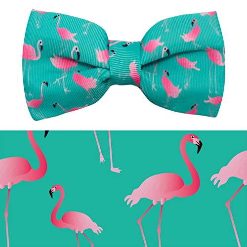 F#Flamingo