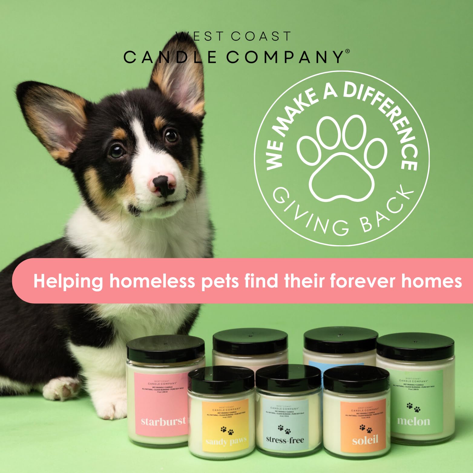 Pet Safe Wax Melts - All Natural, Non-Toxic Soy Wax Melts for Dogs & Cats | Veterinarian Approved Pet Odor Eliminator | Perfect for Home, Car & Office Air Freshening