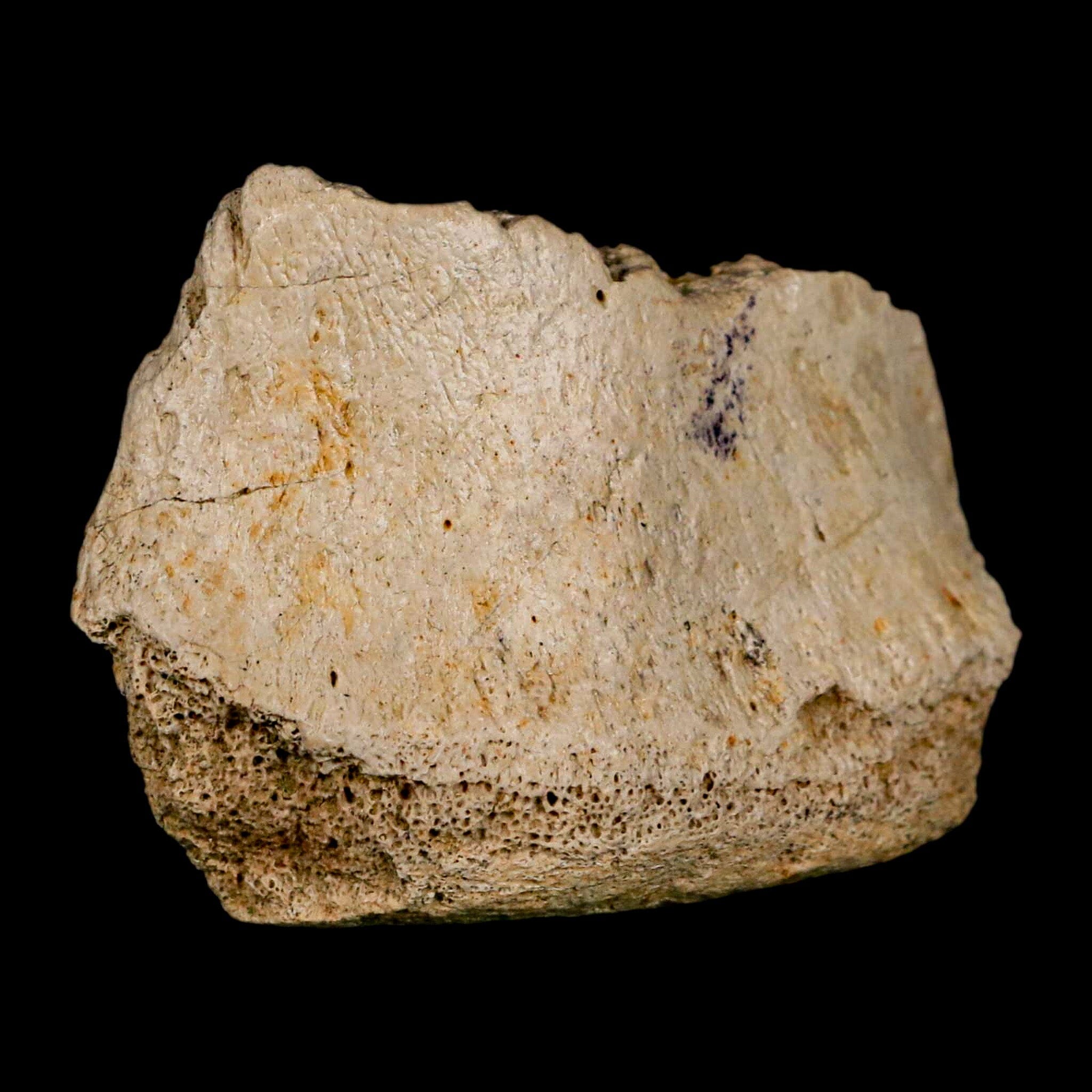2.5