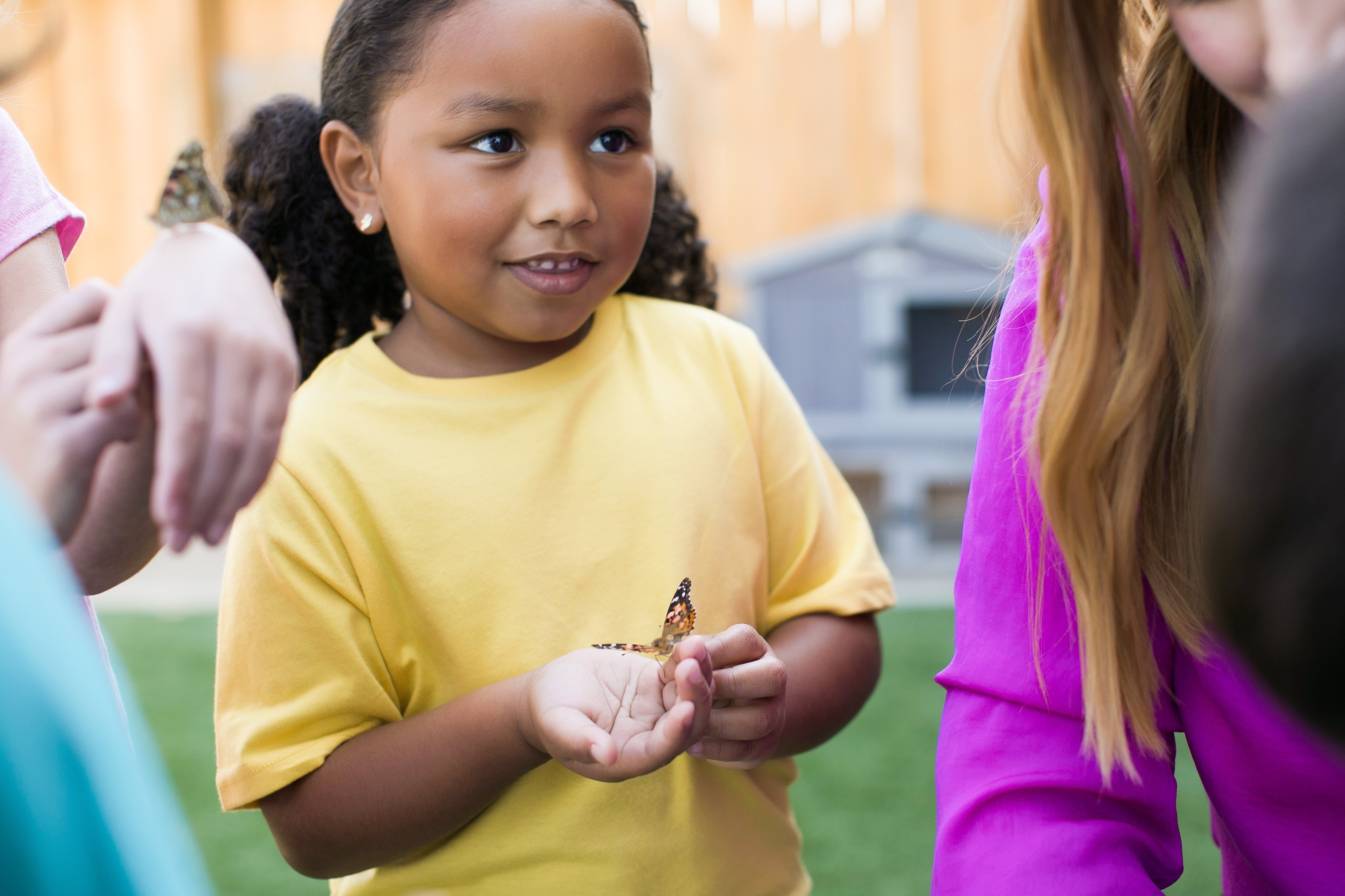 Insect Lore Butterfly Garden Kit with Voucher (PREPAID) - Grow Live Butterflies at Home for Kids Educational STEM Activity