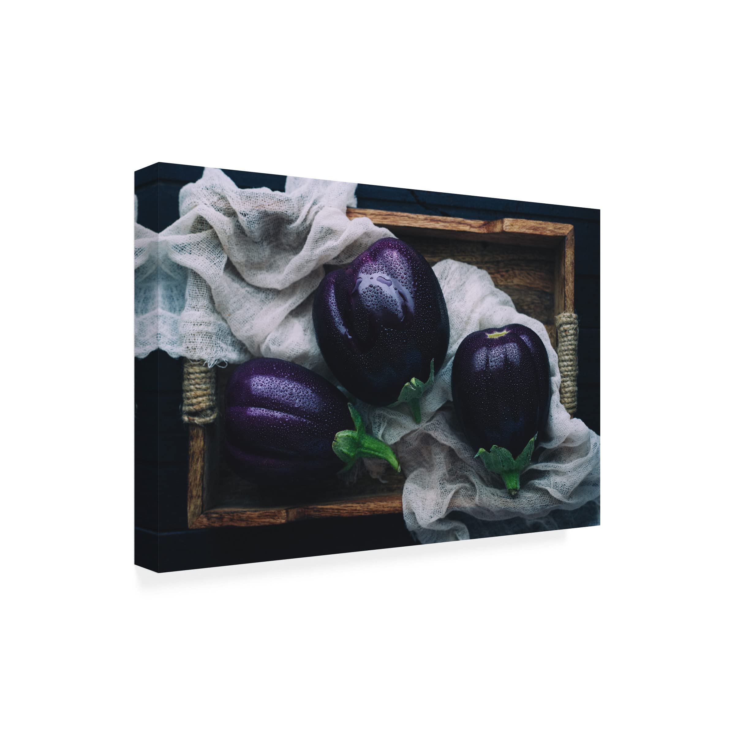 Trademark Fine Art 'Eggplants' Canvas Wall Art Print by Aleksandrova Karina - Modern Home Decor for Living Room, Bedroom & Office