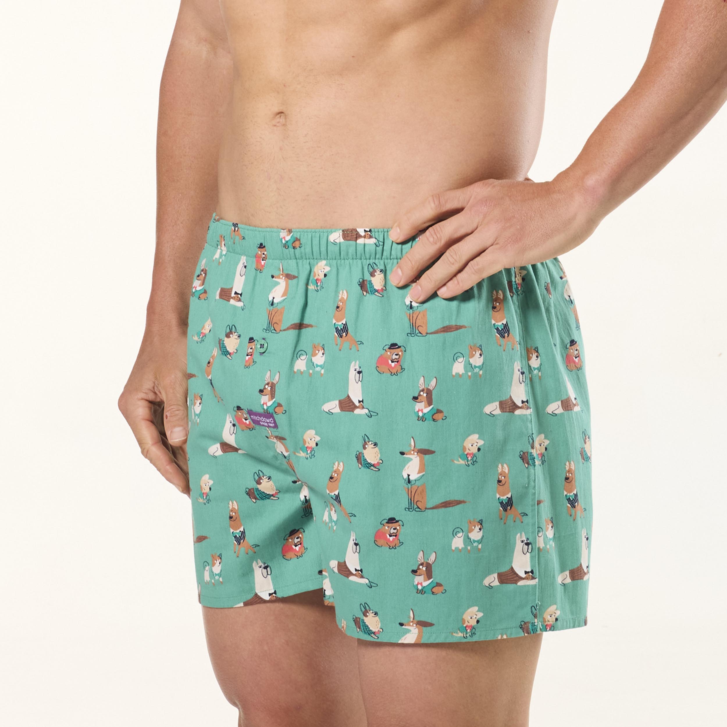 Men's Cotton Boxer Shorts 3-Pack - Soft & Breathable Underwear for Comfort - Green | Perfect for Sleep, Lounge & Everyday Wear