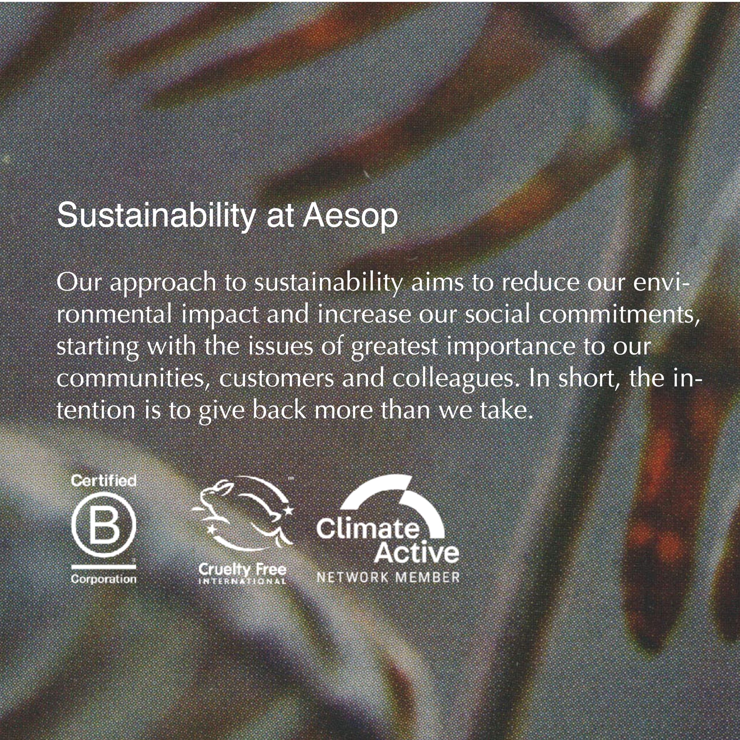 Aesop Classic Shampoo and Conditioner Set - 16.9 fl oz | Paraben-Free, Cruelty-Free & Vegan Hair Care | Gentle Daily Cleansing for All Hair Types - Perfect for Home, Travel & Salon Use