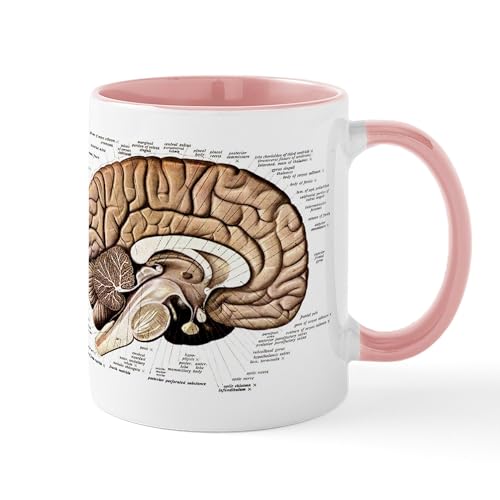 White/Pink Inside - Human Brain Mug