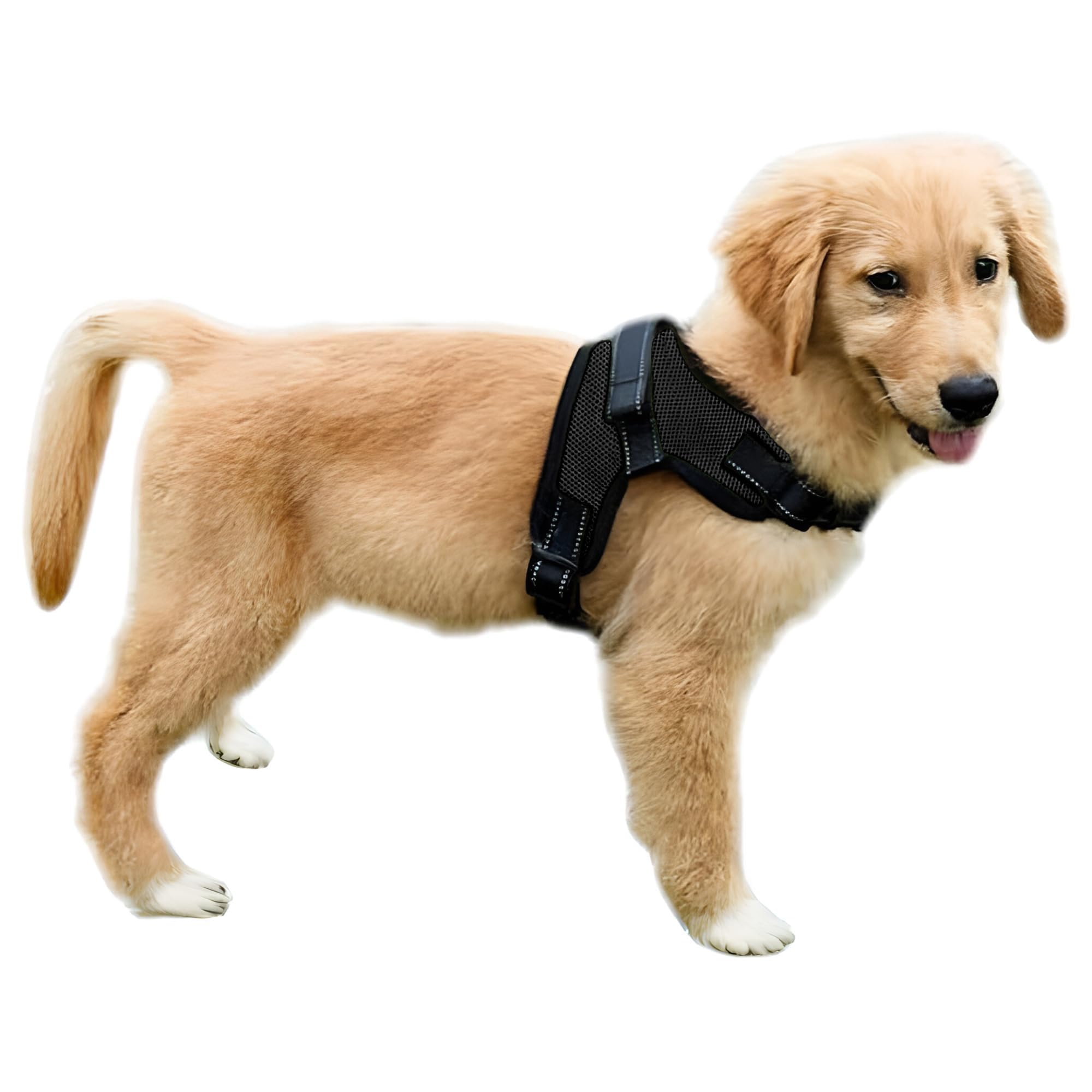 No Pull Reflective Adjustable Dog Harness with Handle - Soft Breathable Mesh for Small Medium Large Dogs - All Weather Comfort for Walking Running Hiking (Black, XX-Small)