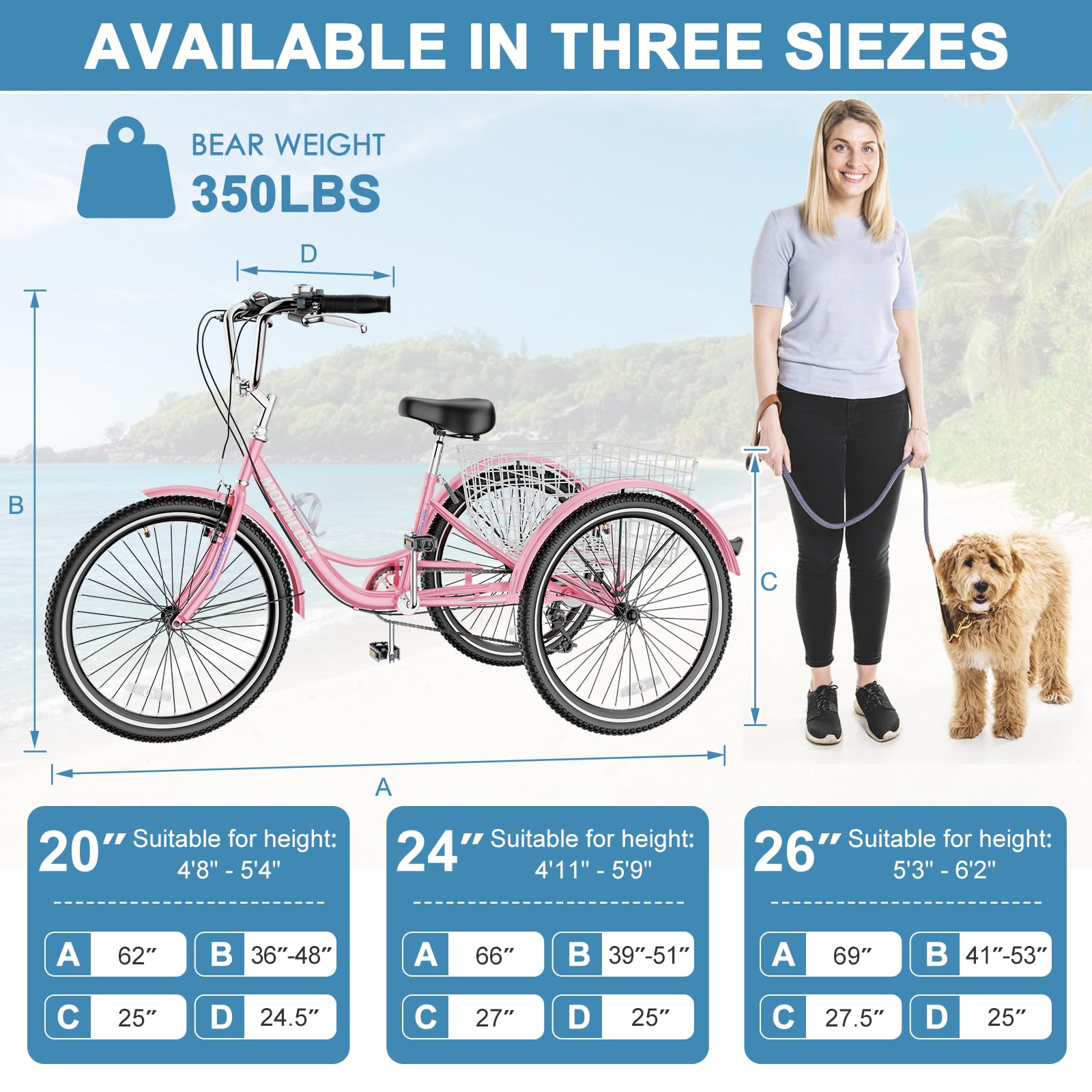 **LILYPELLE 7-Speed Adult Tricycle - 20/24/26 Inch 3-Wheel Bike for Seniors, Women & Men - Cruise Trike with Shopping Basket - Perfect for Commuting, Grocery Shopping & Outdoor Recreation**