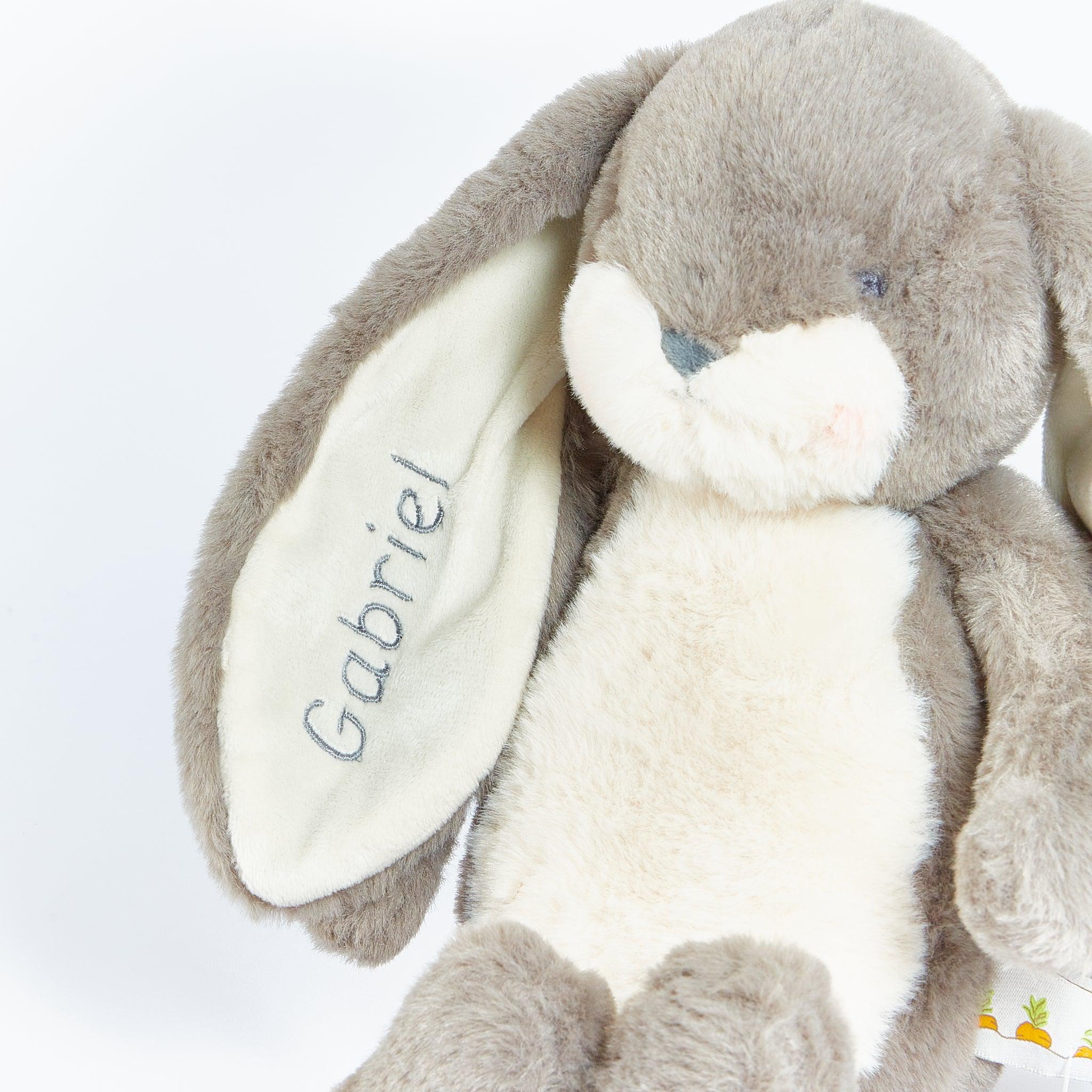 Sweet 16 Floppy Nibble Bunny Plush Toy - Soft Stuffed Animal for Kids & Collectors | Perfect Birthday Gift, Nursery Decor & Cuddling Companion