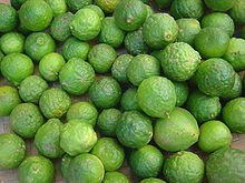 Grafted Semi-Dwarf Thai Kaffir Lime Tree (Makrut) - Fresh Citrus for Cooking, Cocktails & Asian Cuisine - Perfect for Home Gardens & Indoor Planting
