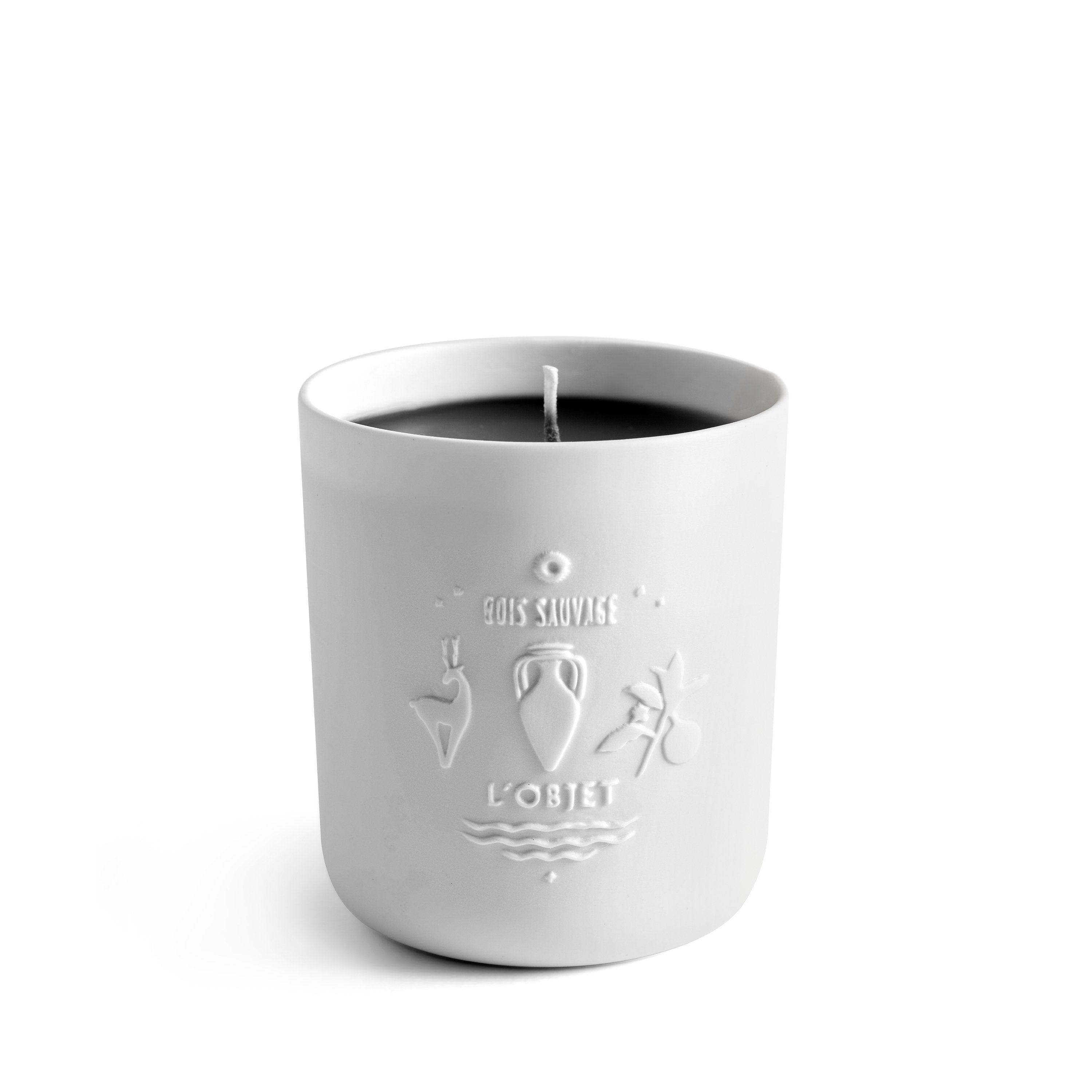 Bois Sauvage Luxury Scented Candle - Natural Soy Wax, Long-Lasting Fragrance for Home, Spa & Romantic Ambiance | Perfect for Relaxation, Meditation & Gift Giving