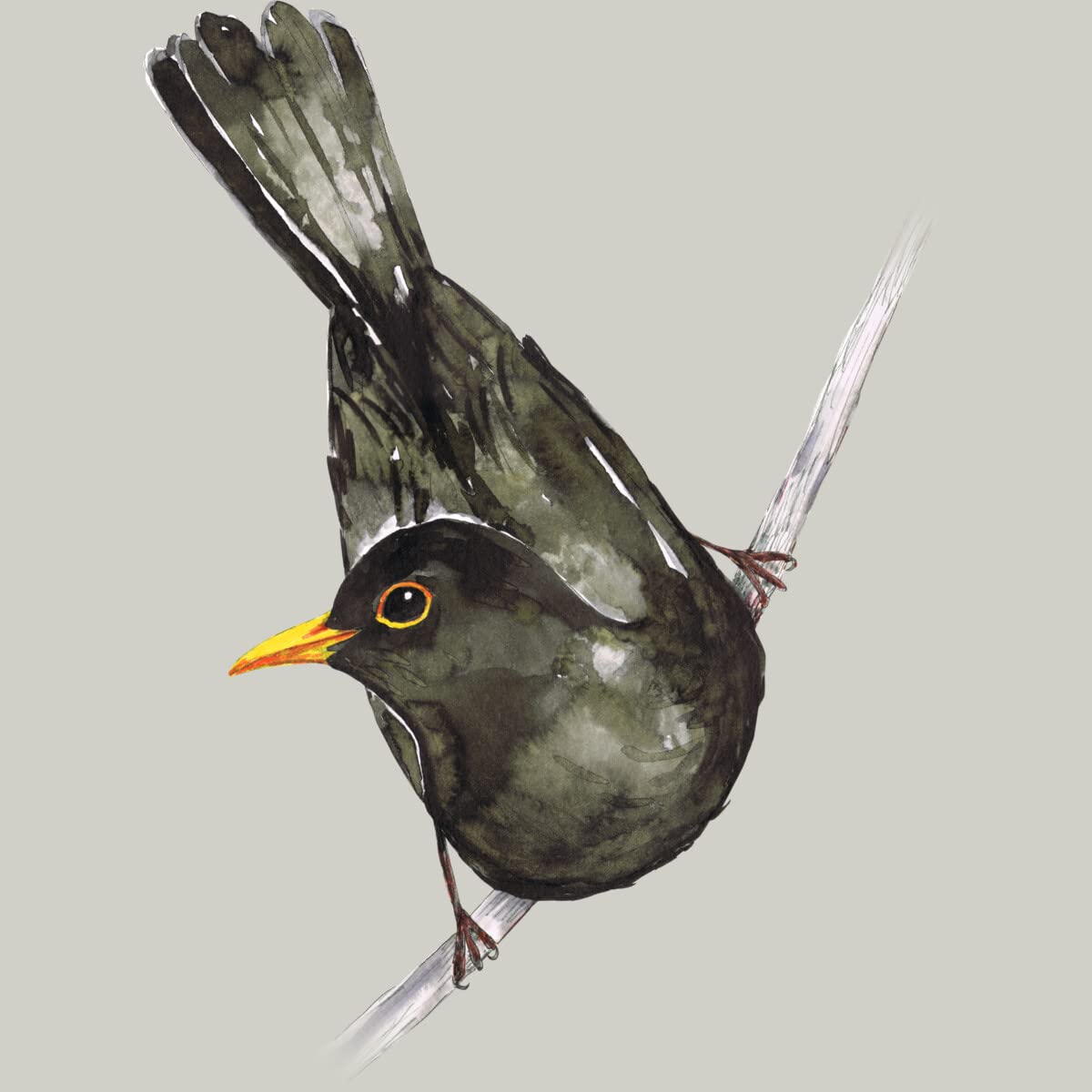 Design By Humans Men's Blackbird Watercolor by Bwiselizzy Graphic T-Shirt - Soft Cotton Tee for Casual Wear & Street Style