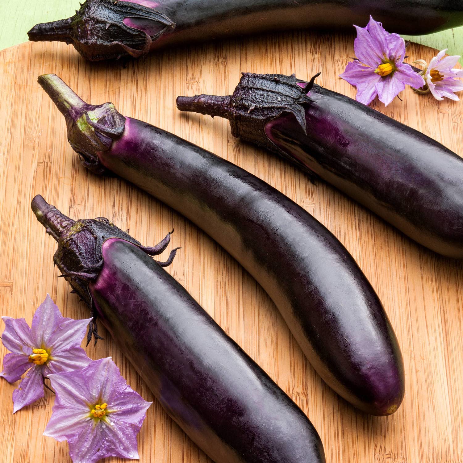 Bonnie Plants Ichiban Japanese Eggplant - 4 Pack Live Plants for Container Gardening, 10 Inch Long Fruit, Perfect for Grilling, Roasting & Asian Cuisine - Ideal for Home Gardens, Patios & Urban Farming