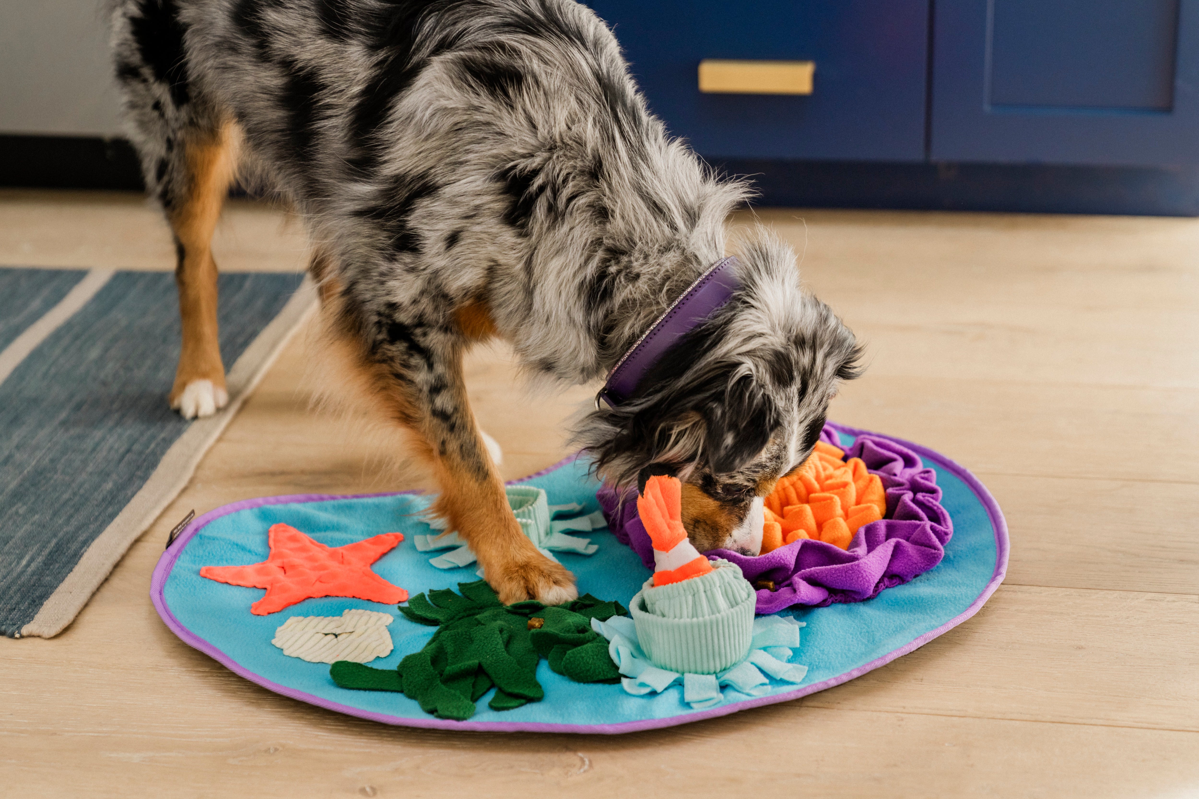 El Coral Scented Dog Mat | Pet P.L.A.Y. Aromatherapy Chew Toy for Puppies & Dogs - Perfect for Calming Anxiety, Teething Relief & Playtime