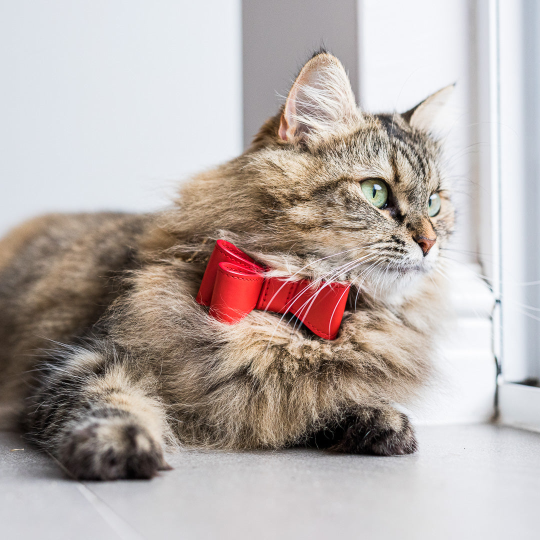 Stylish Red Leather Cat Bow Tie - Adjustable & Comfortable Pet Accessory for Special Occasions & Photos