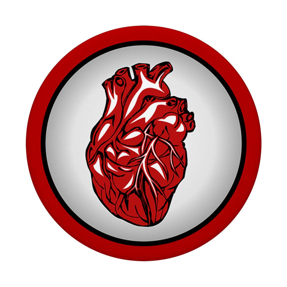 Realistic Human Heart Anatomy Model - Perfect for Medical Students, Science Classrooms & Halloween Decor