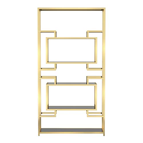 Furniture of America Abair Contemporary Metal 5-Shelf Bookcase in Brass - Modern Bookshelf for Living Room, Office & Bedroom Storage