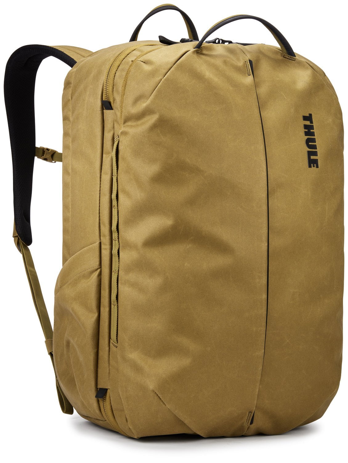 Nutria Brown