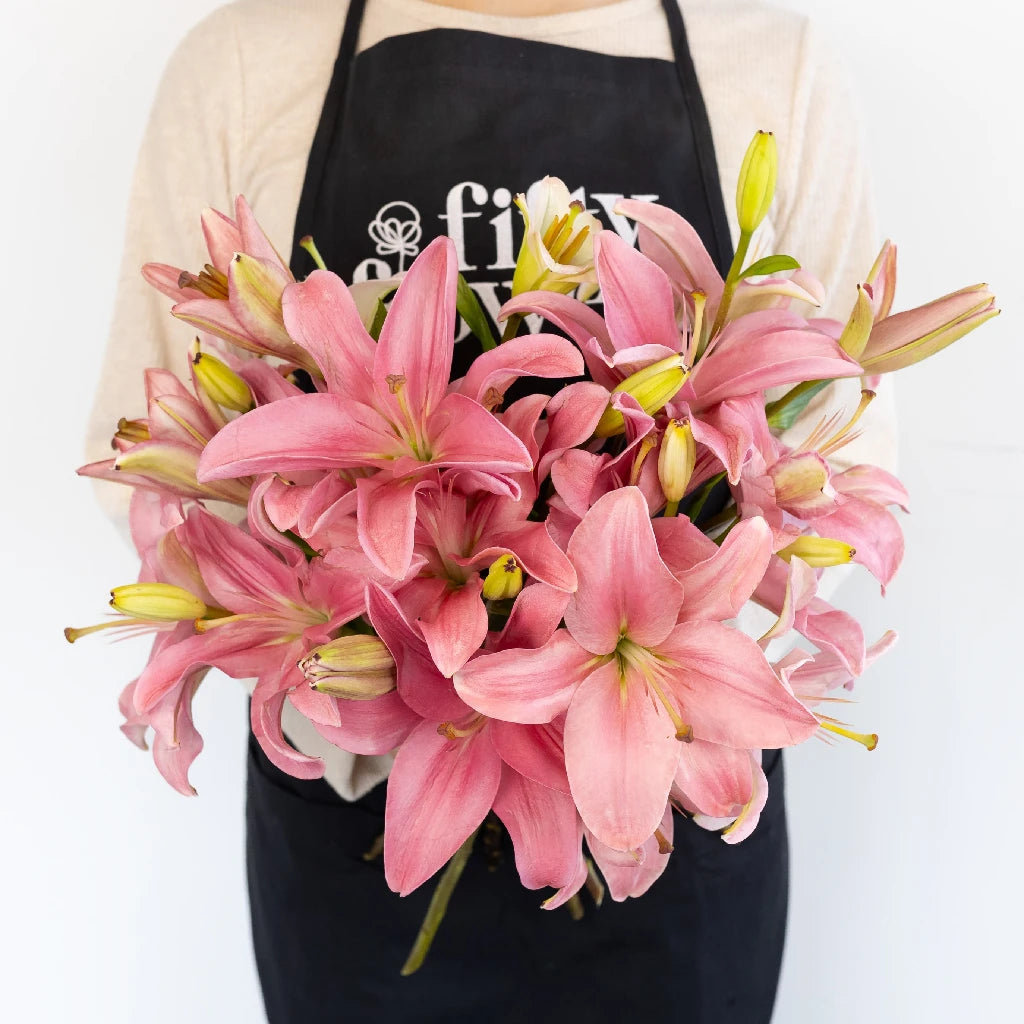 Pink and White Bicolor Asiatic Lily Bulbs - Fresh Garden Flowers for Bouquets, Weddings & Home Decor