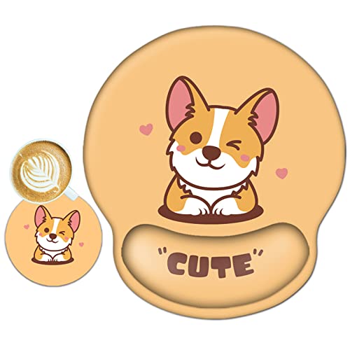 Adorable Corgi