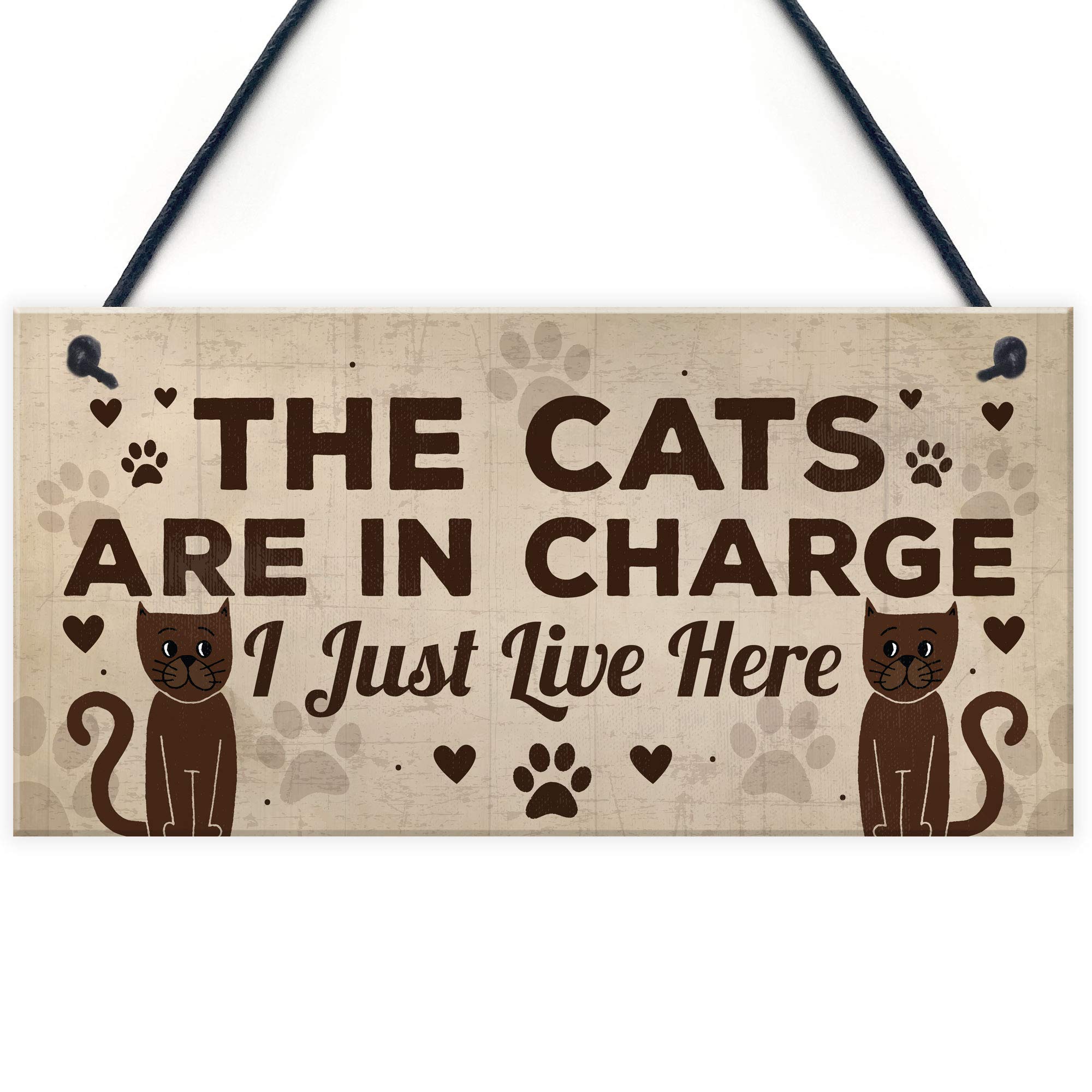 Funny Cat Gifts for Women - RED OCEAN Cat Lover Home Decor Plaque with Humorous Animal Sign - Unique Pet Novelty Gift for Birthday, Housewarming & Cat Themed Decor