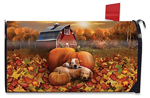 11 - Welcome Fall