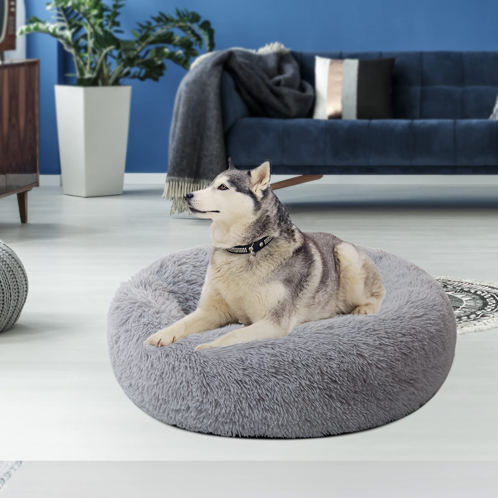 Premium Large Dog Bed for Big Dogs - Calming Donut Round Pet Bed for Medium Pets, Comfy Luxury Anti-Anxiety Plush Cuddler Mat (31.5