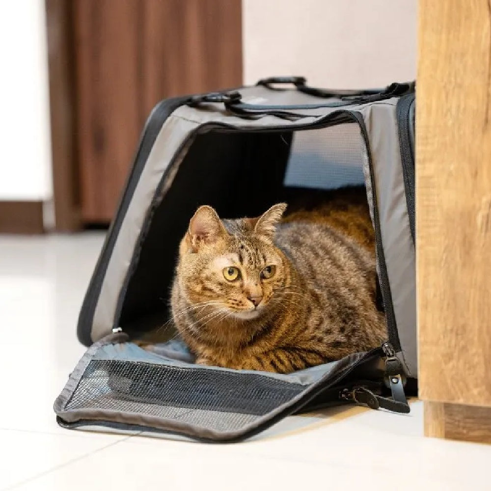 Premium Pet Carrier Backpack for Small Dogs & Cats - Airline Approved, Lightweight & Breathable - Perfect for Travel, Hiking & Vet Visits