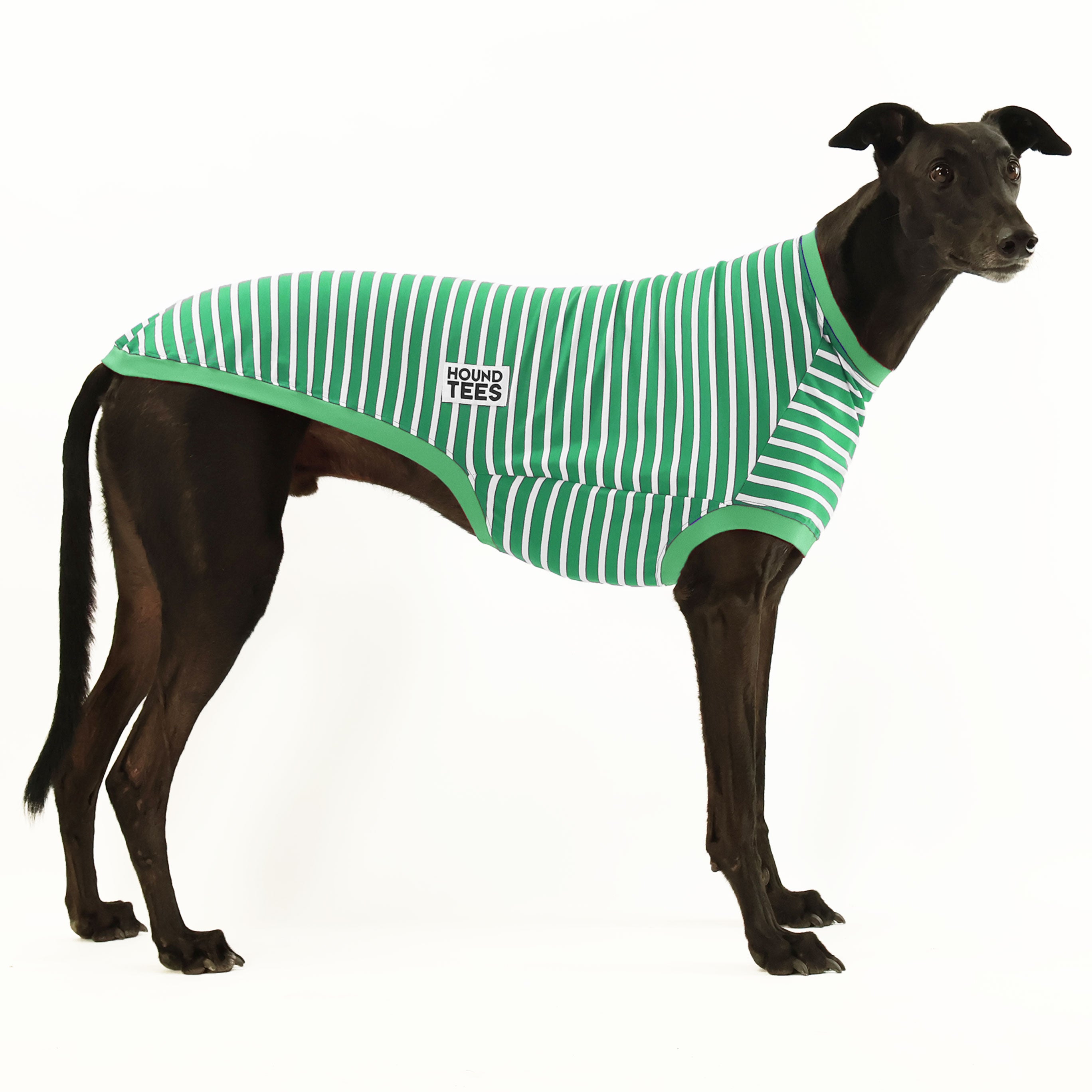 Stylish Greyhound Sleeveless T-Shirt for Dog Lovers - Perfect for Summer Outings, Dog Parks & Casual Wear