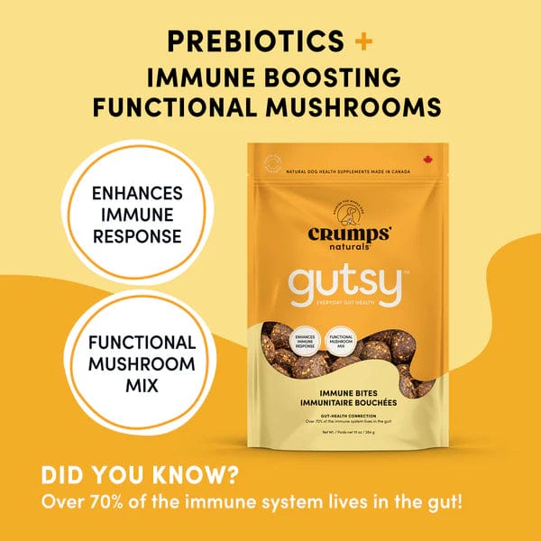 Crump's Naturals Gutsy Immune Bites for Dogs - Probiotic Chews for Immune Support & Digestive Health - Perfect for Daily Wellness Routine and Travel