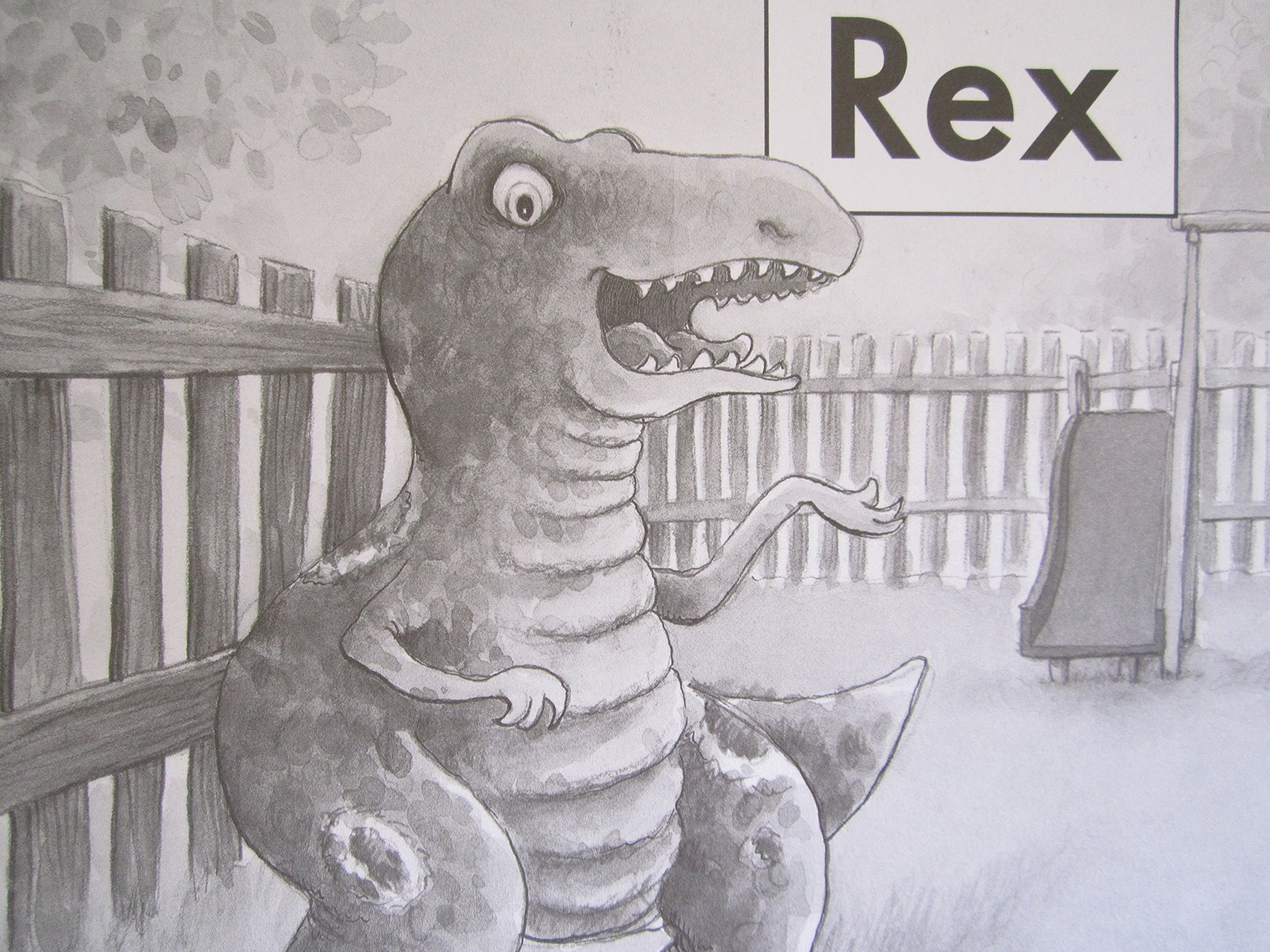 Rex - Fountas and Pinnell Leveled Literacy Intervention Book (Orange System Level A Book 2) | Early Reading Practice for Kindergarten & 1st Grade Students