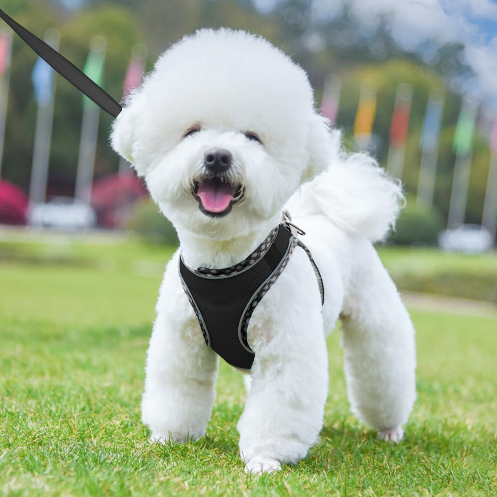No Pull Adjustable Dog Harness & Leash Set for Small Medium Dogs - Breathable Mesh Reflective Puppy Harness with Soft Padded Vest, Easy Step-in Design (Black, Size M) - Perfect for Walking, Training & Outdoor Adventures