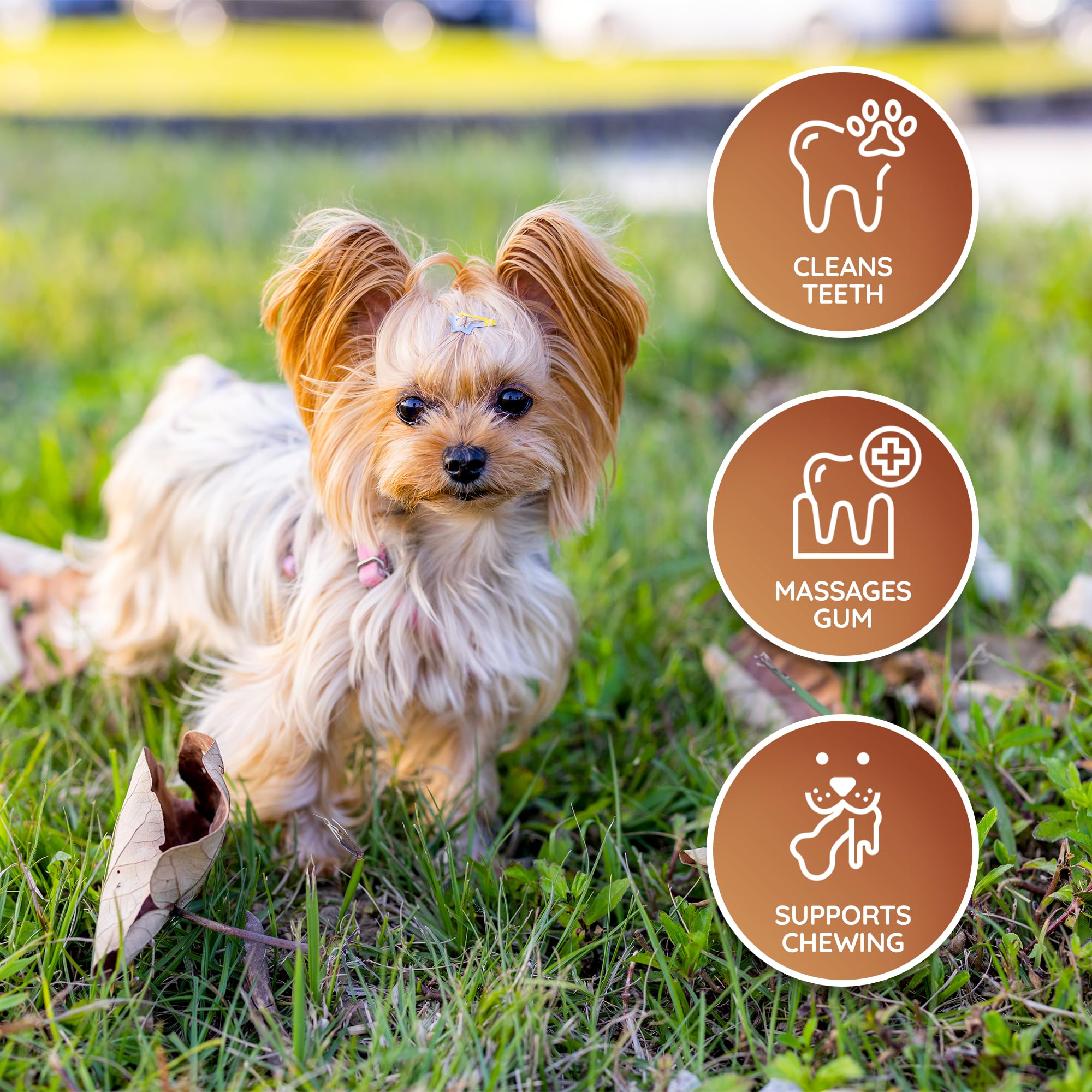 Wildfang Durable Leather Dog Chew Bones - Set of 3 Long-Lasting Leather Chew Toys for Aggressive Chewers, Leather Dog Chews & Bones for Training, Teething, and Dental Health